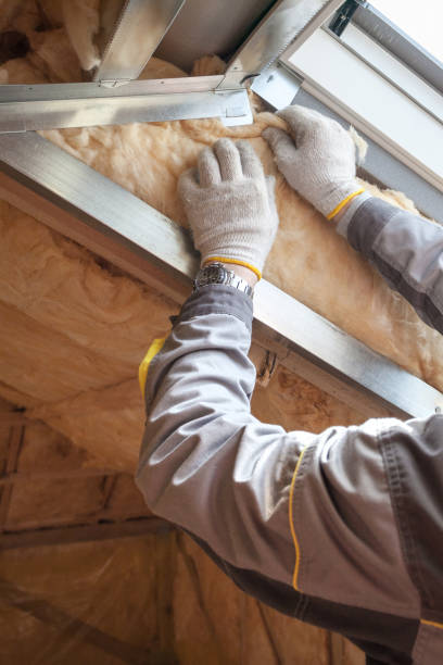 Best Specialized Insulation Services in Phillipsburg, KS